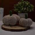 Kürbis Set - beige | Dekoartikel