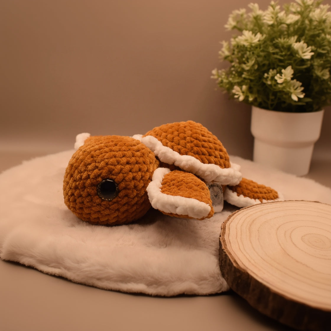 Schildkröte M | Häkeltier