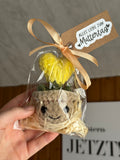 Muttertagsgeschenk | Blume