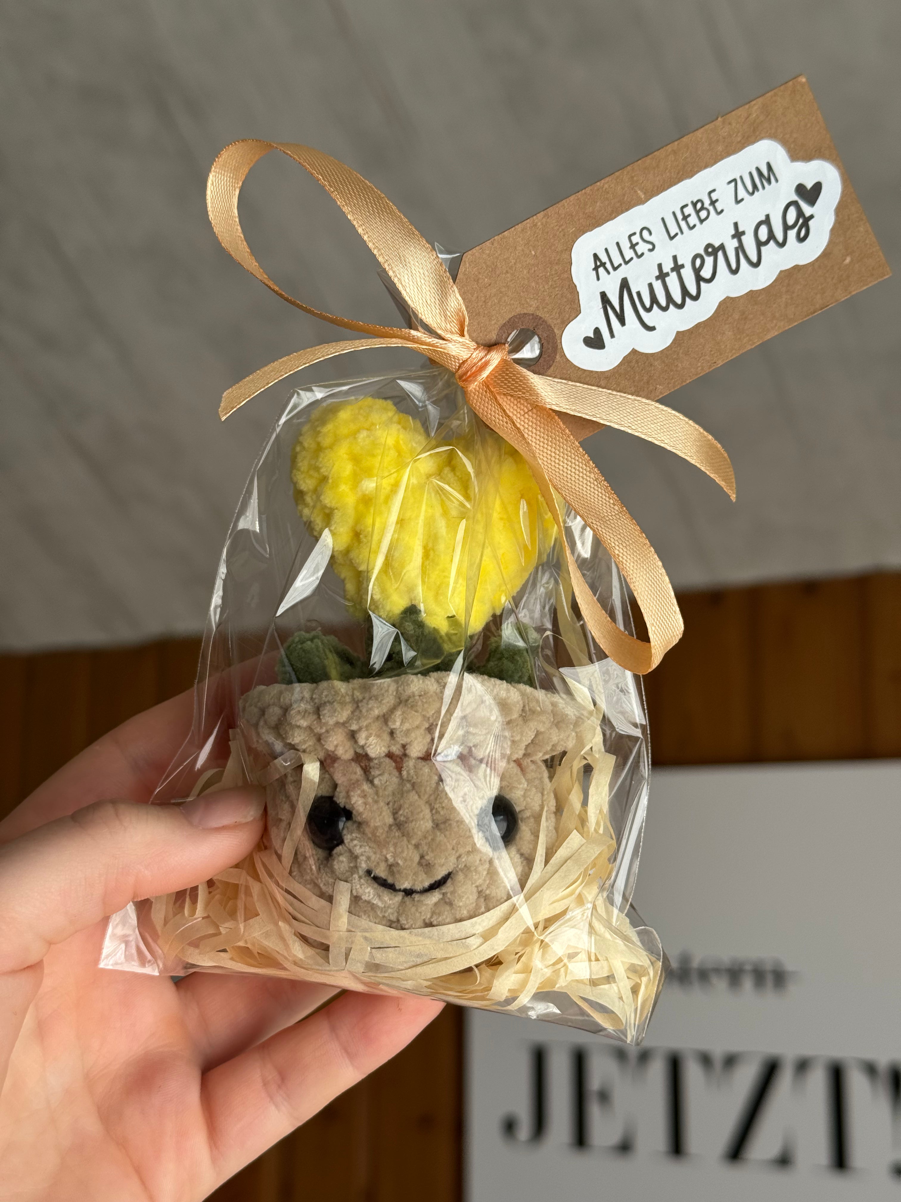 Muttertagsgeschenk | Blume