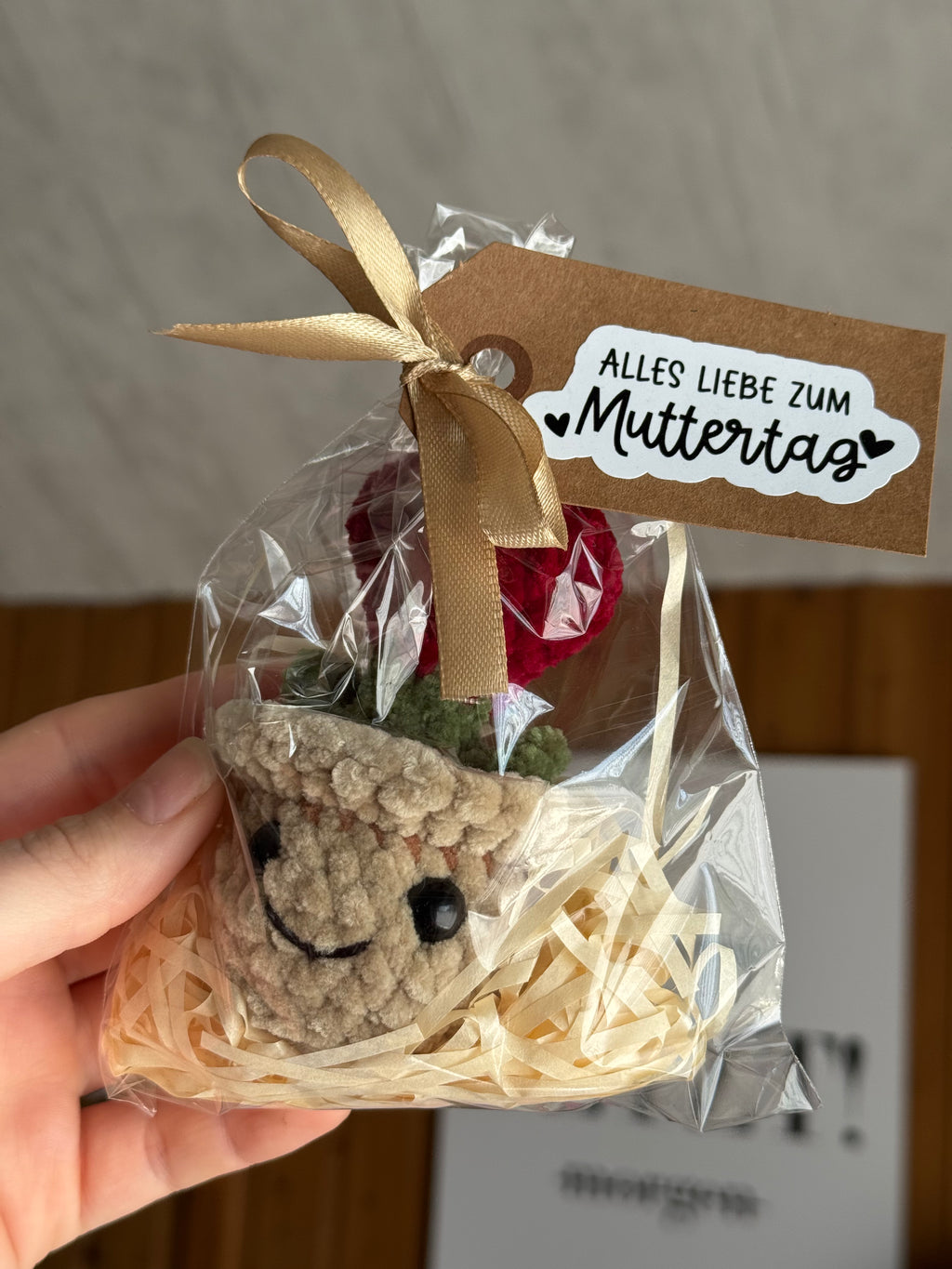 Muttertagsgeschenk | Blume